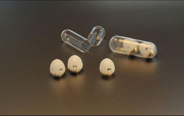 Expertos del MIT aseguran que no hallaron efectos adversos en el uso de la cápsula. TWITTER / @MIT