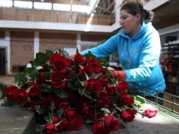 Las florerías suelen duplicar y hasta triplicar la contratación de personal para darse abasto con los pedidos. EL INFORMADOR / ARCHIVO