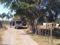 Hasta el momento, no hay elementos que indiquen que entre los cadáveres hay menores de edad. EL INFORMADOR/ARCHIVO