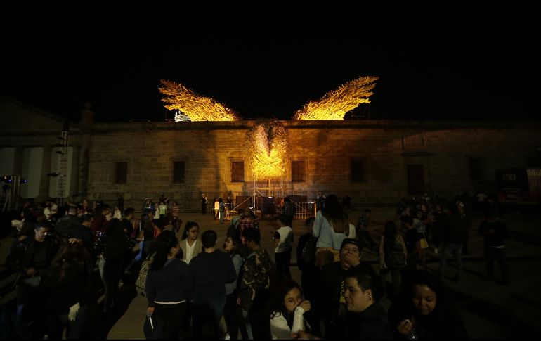Águila Real en el Instituto Cultural Cabañas. EL INFORMADOR/F. Atilano