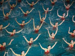 El mundo en imágenes del 14 de febrero de 2019