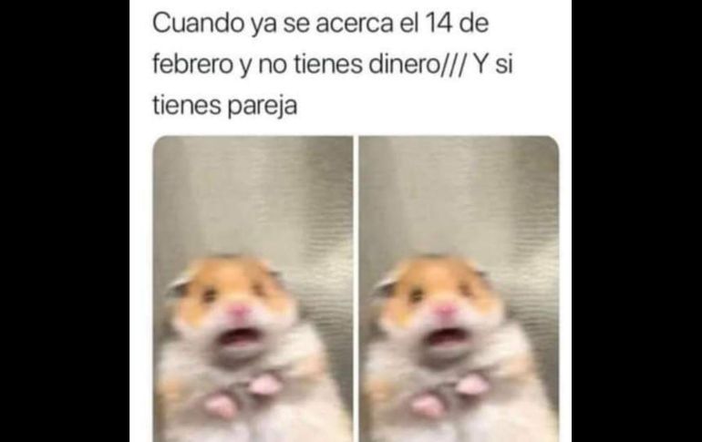 San Valentín: memes con mucho amor para el 14 de febrero