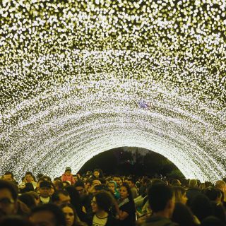 La fiesta de las luces