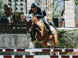 Santiago Vallarta realiza su recorrido a lomos de “Cutieful”, durante la prueba Libre a 1.30 metros. EL INFORMADOR / G. Gallo