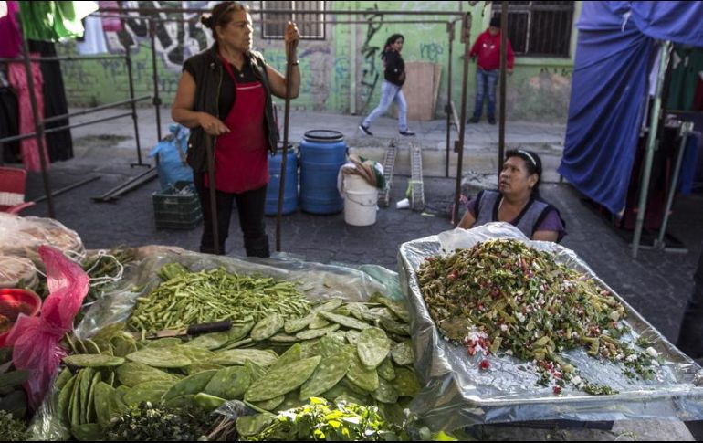Los quelites tienen un importante aporte nutrimental: son ricos en micronutrientes, fibra, minerales y vitaminas; son económicos y, además, tienen potencial en el tratamiento contra la gastritis. EL INFORMADOR / ARCHIVO