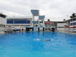 Reiteran que se busca foguear y preparar a clavadistas en el serial de la FINA. EL INFORMADOR/ARCHIVO