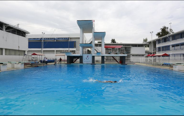 Reiteran que se busca foguear y preparar a clavadistas en el serial de la FINA. EL INFORMADOR/ARCHIVO