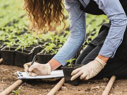 Es necesario que los consumidores adquieran dietas provenientes de cultivos con procesos más eficientes. ESPECIAL