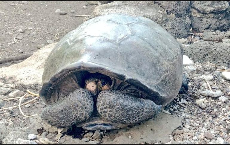 TWITTER / @Marcelo_MataG