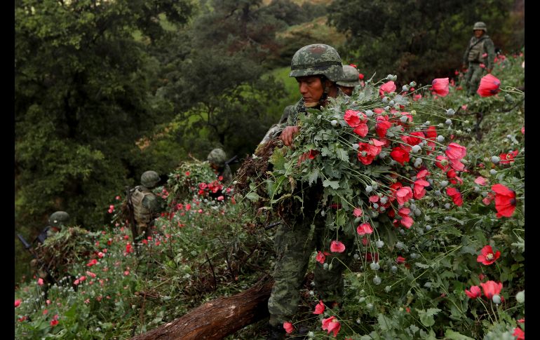 Soldados participan en la destrucción de plantíos ilegales en Pueblo Viejo, Guerrero. REUTERS / C. Jasso