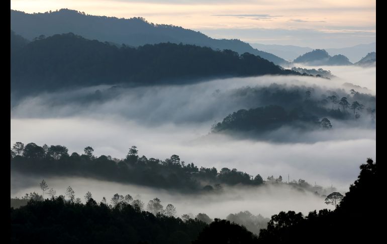 La geografía y condiciones climáticas de la Sierra Madre del Sur, impresionan y se vuelven un reto para las fuerzas militares que participan en los operativos. REUTERS / C. Jasso