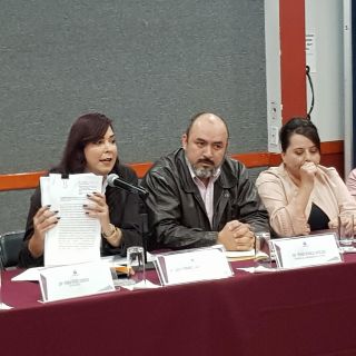 Diputados locales del “PRI-Morena” insisten en revertir extinción del IJM