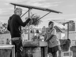 La Secretaría de Hacienda y Crédito Público ofreció nueve millones de pesos a través de un estímulo fiscal a la producción 