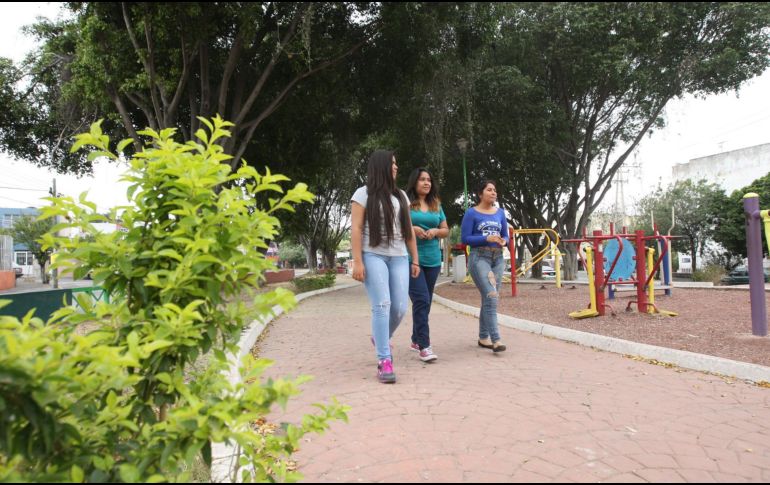 La iniciativa plantea que se considere como falta 