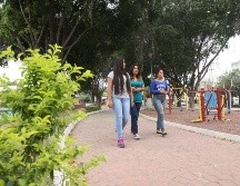 La iniciativa plantea que se considere como falta 