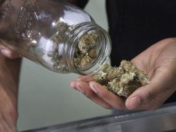 Los estudios tendrían una duración máxima de cinco años, se limitarían a determinadas localidades que han mostrado interés en acoger estas pruebas. AP/ ARCHIVO