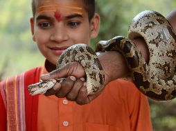 El mundo en imágenes del 3 de marzo de 2019