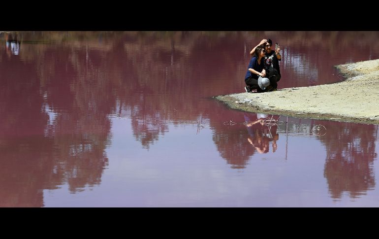 Bajo esas condiciones, las algas que crecen en la corteza de sal del lago producen un pigmento rojo, el betacaroteno, que pinta las aguas de forma natural.