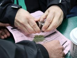 Uruguay y Canadá han argumentado que la regularización del cannabis es una medida eficiente para luchar contra el mercado negro de esta substancia.  EFE/Archivo