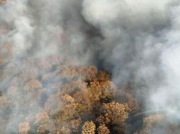El incendio fue combatido con ayuda de casi 100 elementos, el helicóptero “Tláloc” y más de 25 vehículos. ESPECIAL
