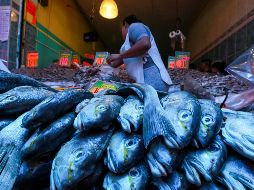 Los inspectores sanitarios de Coprisjal supervisarán las condiciones sanitarias de los alimentos, así como el manejo higiénico de los mismos. EL INFORMADOR / ARCHIVO