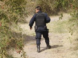 Las excavaciones en la huerta de mango continúan, por parte de las rastreadoras, en busca de nuevos indicios. EL INFORMADOR/ARCHIVO