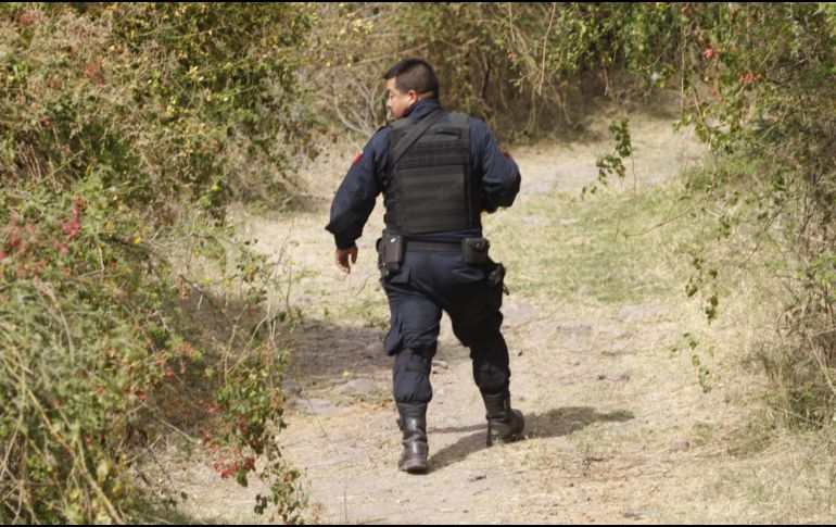 Las excavaciones en la huerta de mango continúan, por parte de las rastreadoras, en busca de nuevos indicios. EL INFORMADOR/ARCHIVO