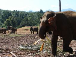 Se recomienda estar en contacto continuo con familiares y llevar equipaje ligero. ESPECIAL