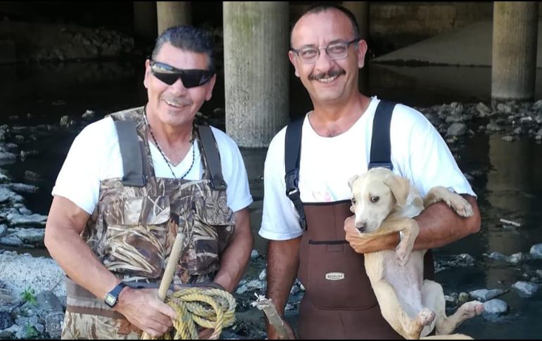 Bomberos rescatan perrita de canal de Av. Patria