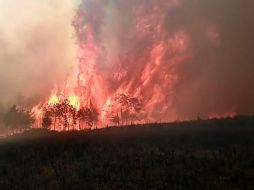 Durante más de doce horas, las llamas han consumido cientos de hectáreas del Valle y Cofre de Perote. EFE