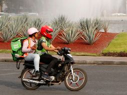 Para evitar distracciones, un trabajador es apoyado por otra persona que lleva la mochila térmica y le indica el camino que marca el GPS. EL INFORMADOR/A. Camacho