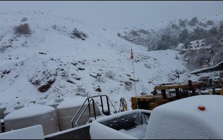 Los municipios de Guachochi, Bocoyna, Janos, Guerrero, Uruachi, Maguarichi, Urique, Morelos, Ocampo y Madera registran caída de nieve durante gran parte del día. TWITTER / @FcqIng