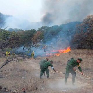Prevén año crítico para incendios en La Primavera