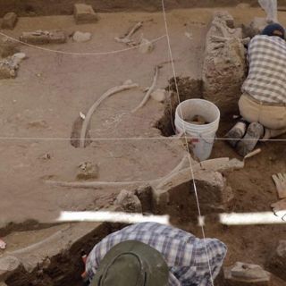 Hallan restos de mamut en Tultepec