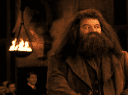 TWITTER / @HarryPotterFilm