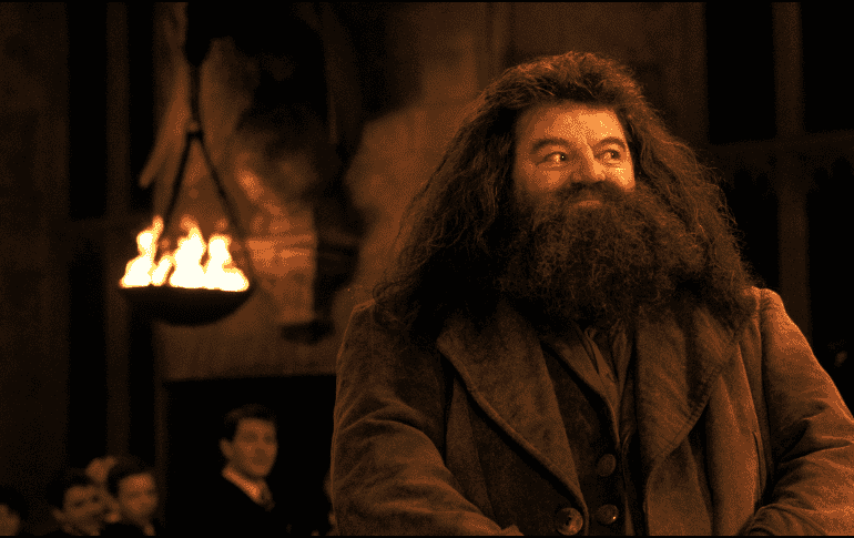 El intérprete apareció en días pasados para promocionar una nueva atracción en un parque de diversiones en los Estudios Universal de Orlando, Florida. TWITTER / @HarryPotterFilm