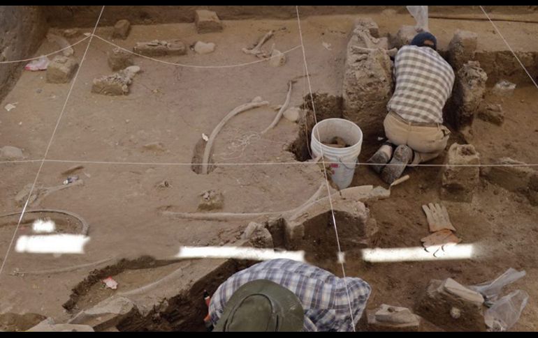 Confirman hallazgo de restos de mamuts en el Estado de México