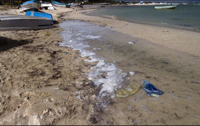 Se comprometieron a mejorar los sistemas y tecnologías nacionales, supervisión medioambiental, incluida la calidad del aire, el agua y el suelo; la biodiversidad, la deforestación, la basura marina, los desperdicios, étc. EL INFORMADOR / ARCHIVO