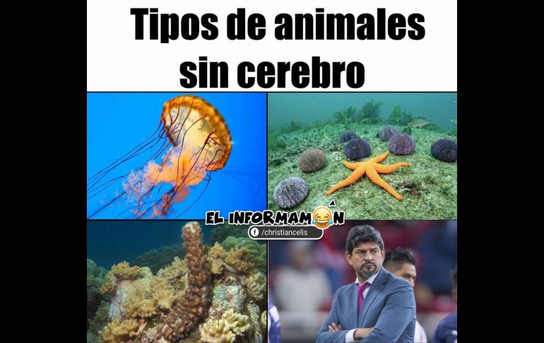 Chivas vs América... Al menos nos quedan los memes