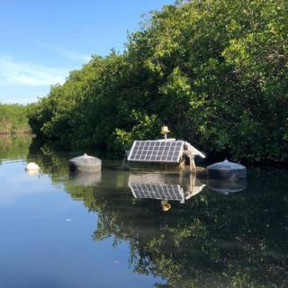 Intencional, descarga de aguas negras en Puerto Vallarta: Gastón González