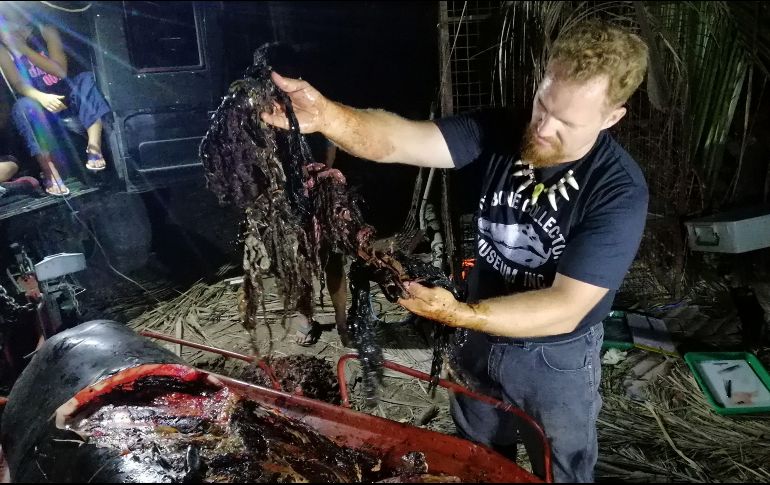 La autopcia se le realizó por personal de la Oficina de Pesca y Recursos Acuáticos en el municipio de Mabini, en la provincia de Valle Compostela. AFP
