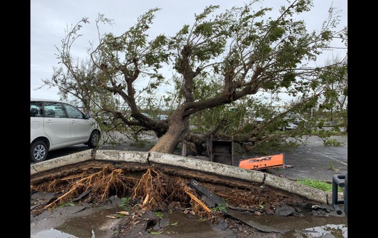 Beira, que cuenta una población de algo más de medio millón de habitantes, sido duramente golpeada.