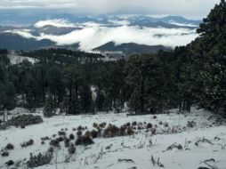 El fenómeno es poco frecuente por estas fechas y no causó daños a los lugareños, sino por el contrario la onda fría que estuvo acompañada por lluvias en varios municipios del sur del estado. FACEBOOK / Lobo de la Sierra