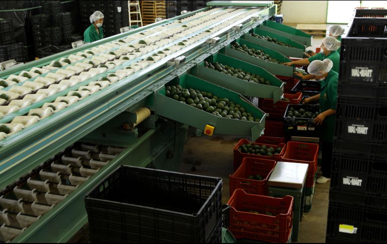  Canadá, dijo, ocupa el segundo lugar como comprador de productos mexicanos y es el sexto abastecedor más importante para México. EL INFORMADOR/ ARCHIVO