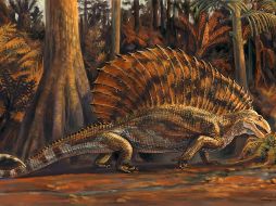 Hervívoro de 1,5 metro de largo y unos 34 kilos, que fue descubierto en 2013 cerca de la población de Alamogordo, en Nuevo México. EFE / M. Celeskey