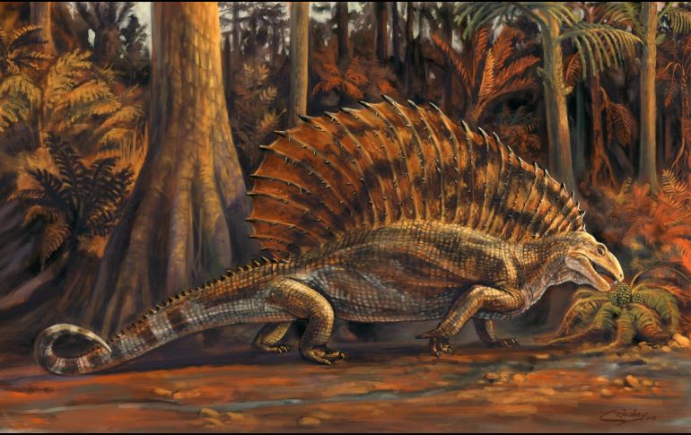 Hervívoro de 1,5 metro de largo y unos 34 kilos, que fue descubierto en 2013 cerca de la población de Alamogordo, en Nuevo México. EFE / M. Celeskey