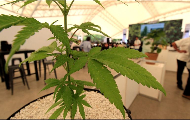 Autoridades sanitarias hacen un llamado a padres de familia a estar atentos a lo que consumen sus hijos, y denunciar a quienes posean este tipo de dulces. EFE/ARCHIVO