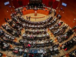 Josefina Román fue desinada en el cargo para un periodo de ocho años. SUN / D. Sánchez