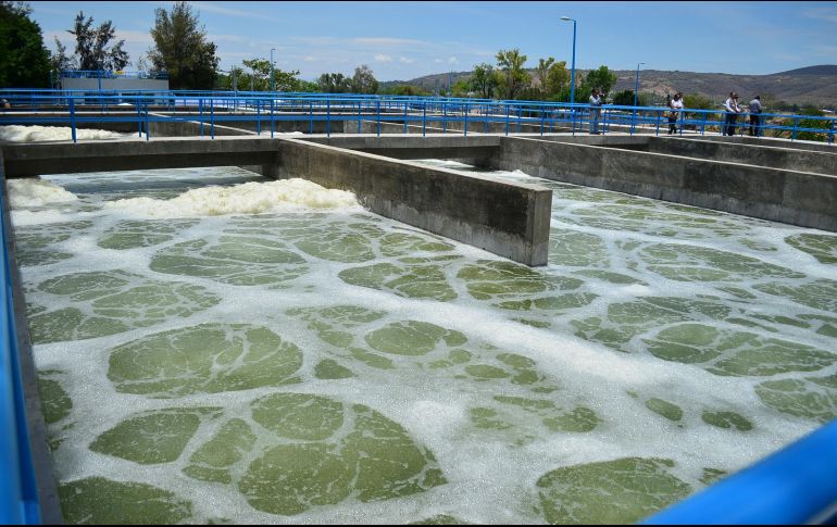 Además, según el académico Hermes Ulises Ramírez, la Universidad de Guadalajara (UdeG) tiene la capacidad de ayudar al gobierno en las acciones contra esta crisis.EL INFORMADOR/ ARCHIVO