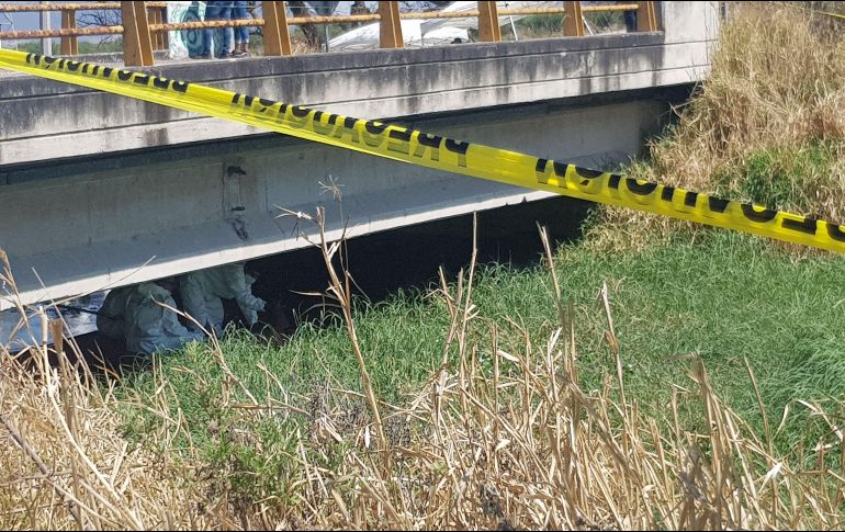 Aún faltan por identificar 10 de los 20 cadáveres hallados el pasado 14 de marzo. EL INFORMADOR/ARCHIVO